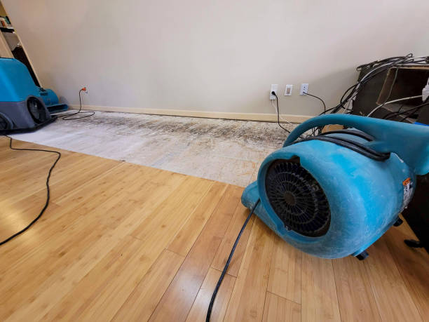 Professional Sewage Cleanup technician working in Mount Sterling, IL